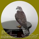بالابان